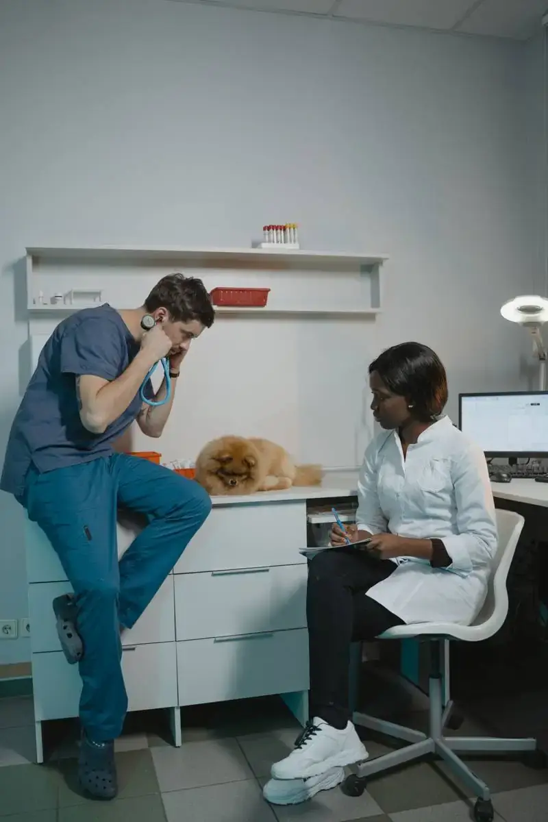 Sala de consulta veterinaria con camilla y equipos